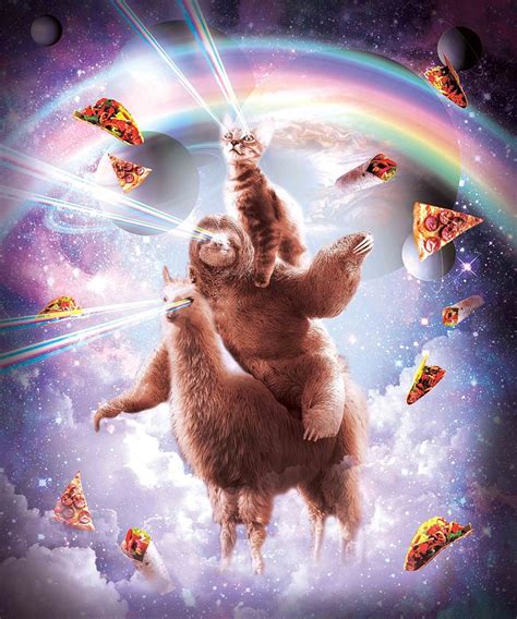 Laser Eyes Space Cat Riding Sloth Llama Rainbow Digital