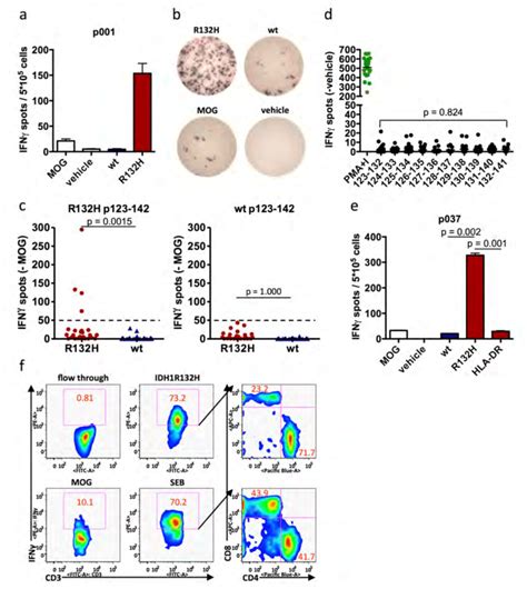 12 Spontaneous Idh1r132h ­ Specific Cd4 T Cell Responses Are Detected