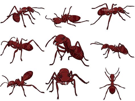 Red Ants Cartoon Vector Clipart Friendlystock