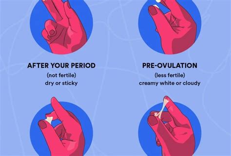 Discharge After Ovulation If Pregnant What Does Cervical Mucus Look