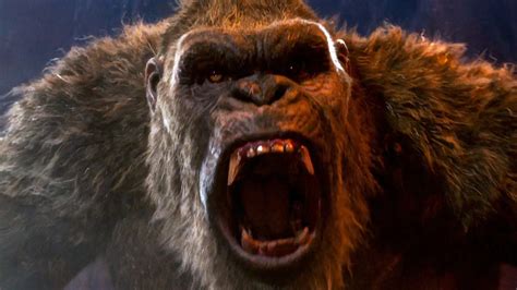 Biggest Unanswered Questions In Godzilla Vs. Kong