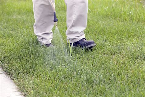 Pre Emergent Weed And Crabgrass Preventer Lawn Care Plus Inc