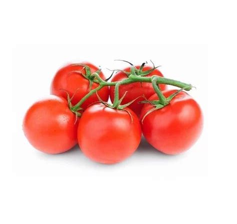 Rijk Zwaan Tomato Seeds For Agriculture Pack Size 1000 Seedspack At