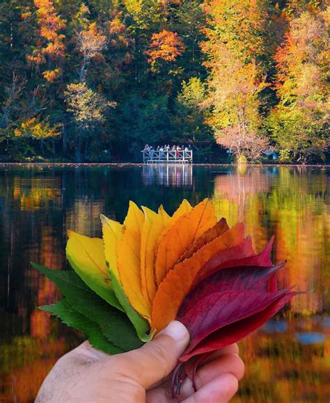 The colors of autumn : pics