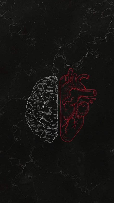Brain Vs Heart Iphone Wallpaper Iphone Wallpapers Iphone Wallpapers