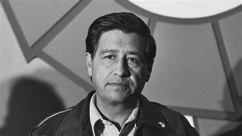 Champion Of The Fields Cesar Chavez S Legacy As Labor Leader And Civil Rights Icon English