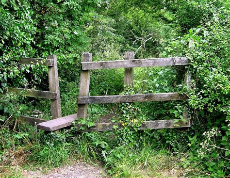 Free Images Nature Forest Path Outdoor Fence Trail Country Narrow Foliage Rural