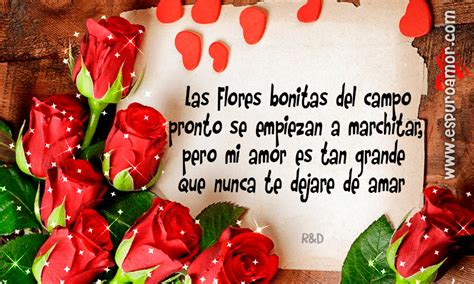 Im Genes De Rosas Con Frases Y Poemas De Amor