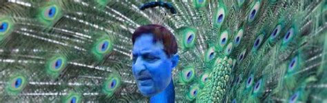 Peacocks Pay A Teary Eyed Farewell To Rajasthan High Court Judge S Sexual Wisdom