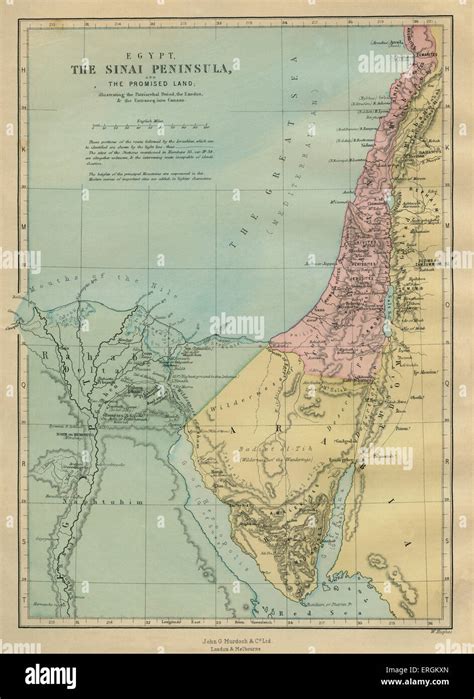 19th Century Map Of The Sinai Peninsula Egypt Illustrating The