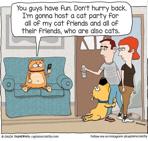 pin by sandy ayres on cats furry rulers of the world in 2022 cat party cats fun