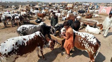 Pakistan Govt Announces Three Day Holiday On Eid Ul Adha Pakistan Weekly