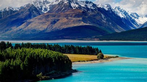 🥇 New Zealand Forests Landscapes Mountains Nature Wallpaper 41425