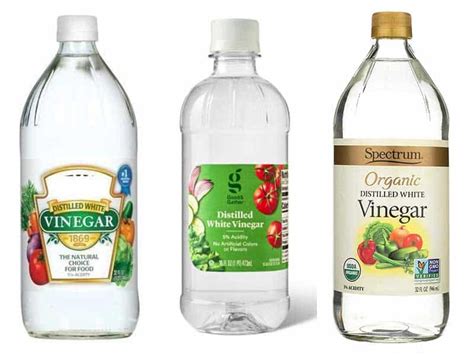 Apple cider vinegar (acv) may help treat dandruff, hair loss, and scalp itching. Grab The Essentials About White Vinegar For Hair Now