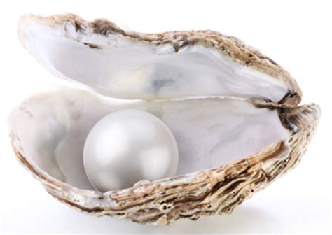 Pearls Of Wisdom Fascinating Facts About Pearls June Birth Stone