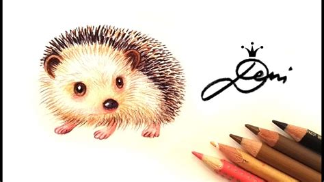 Wie zeichnet man einen Igel? 🍁 How To Draw a Hedgehog ...