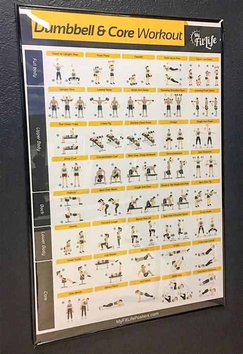 My Fit Life Gym Dumbbell And Core Workout Poster Laminated Illustrated Guide With