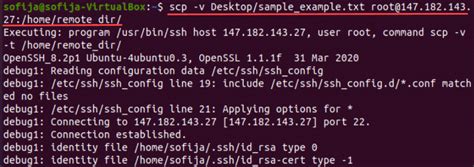 Linux Scp Command Explained 13 Examples Phoenixnap Kb