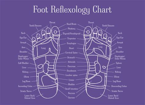 Reflexology Points To Heal The Body