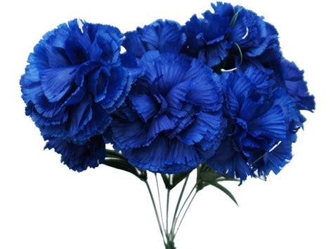 Pin By Yza Fujiko On Blue Flowers Carnations Flower Bouquet Wedding