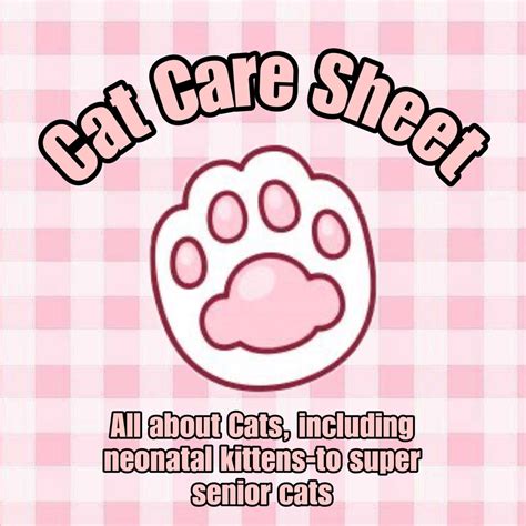 Cat Care Sheet Digital File Etsy