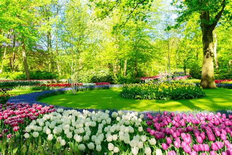 Different Types Of Garden That You Should Know