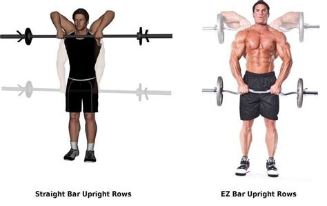 Barbell Upright Row Bodybuilding Wizard Barbell The Row Back Exercises