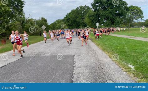 Start Of High School Girls Cross Country Running Race Stock Video