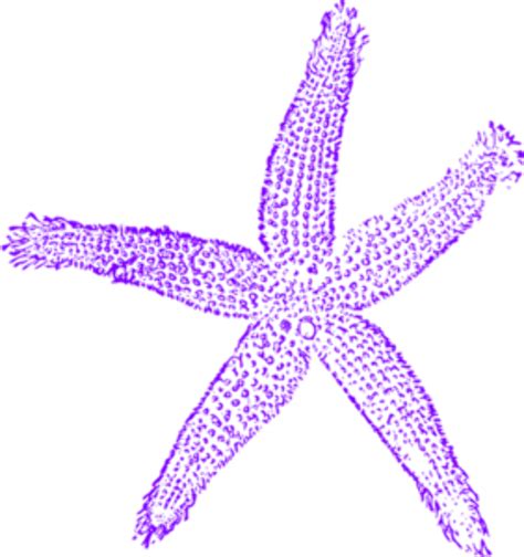 Download High Quality Starfish Clipart Purple Transparent Png Images