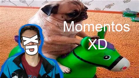 Momentos Xd 1 Youtube