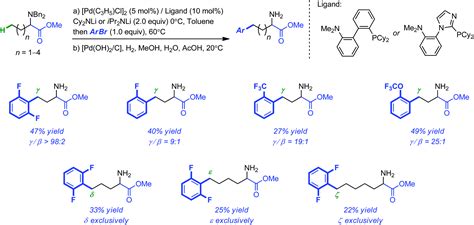 Recent Trends In Pd Catalyzed Remote Functionalization Of Carbonyl Compounds Organic