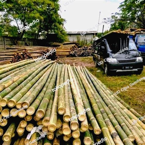 Jual Jual Bambu Steger And Kayu Kaso Bekisting Jakarta Selatan Ud