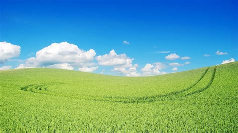 1920x1080 Green Landscape Beautiful Laptop Full Hd 1080p Hd 4k Wallpapers Images Backgrounds
