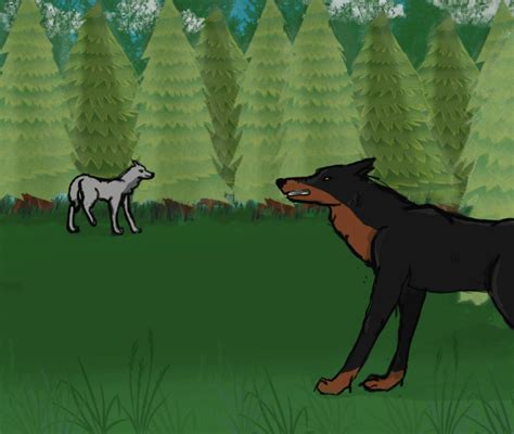 Wolf Fight Animation By Rendou Animated On Deviantart