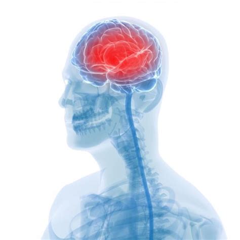 Beware Stress Can Make Dead Brain Cells Healthy Living
