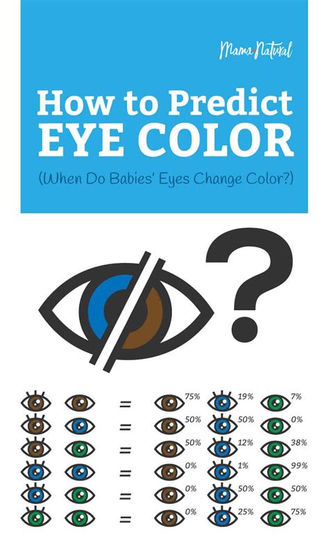 Eye Colour Probability Chart Eye Color Chart Eye Color Chart Baby Eye