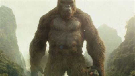 ¿inspiración De La PelÍcula King Kong Sí Existió Un Gorila Gigante