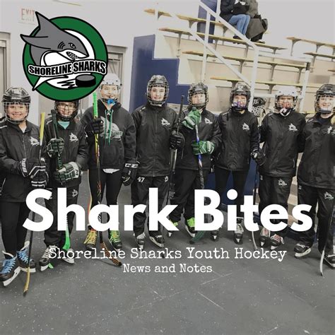 Shoreline Sharks Hockey Home Facebook