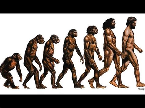 collapse of Darwinism & the theory of Evolution - YouTube