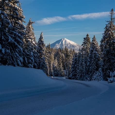 Download Wallpaper 2780x2780 Mountain Trees Snow Winter Road