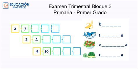 Examen Trimestral Primer Grado Bloque 3 Theneave Vrogue Co