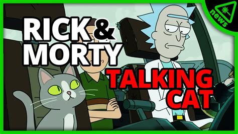 Does The Rick And Morty Talking Cats Secret Set Up The Finale