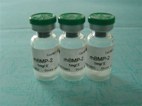 Recombinant Human Bone Morphogenetic Protein 2 At Best Price In