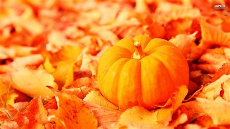 Free Download Free Fall Wallpapers With Pumpkins 1920x1080 For Your