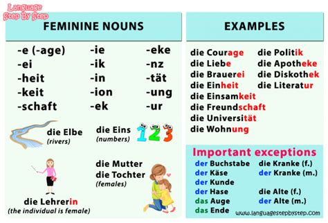 German Nouns Gender Language Step By Step