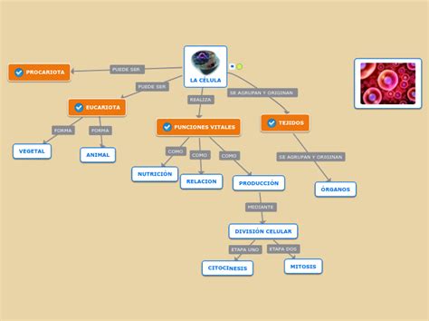 La Celula Mind Map