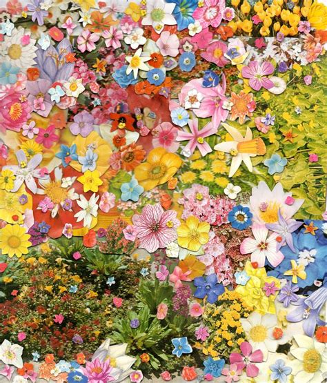 Flower Collage Cute Art Art Inspiration
