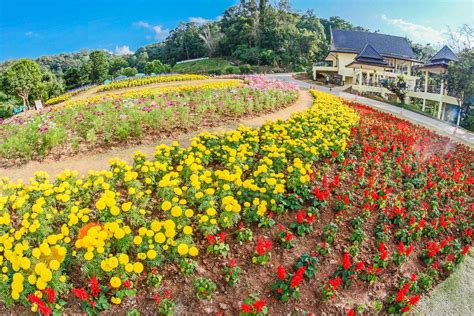 7 Gardens And Parks In Chiang Mai To Relax And Rejuvenate Holidify