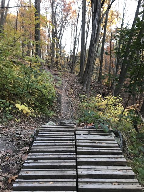 Black mountain with mono in toronto concert tickets. Roller Flowster Mountain Biking Trail - Toronto, Ontario