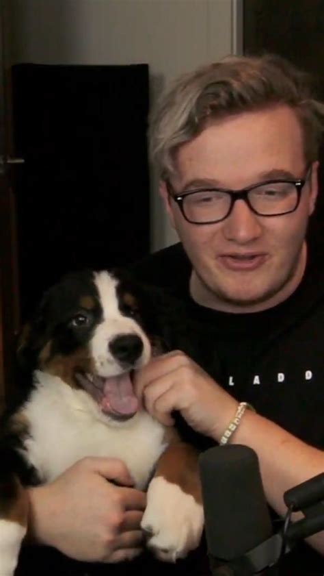 What Happened To Mini Ladds Dog